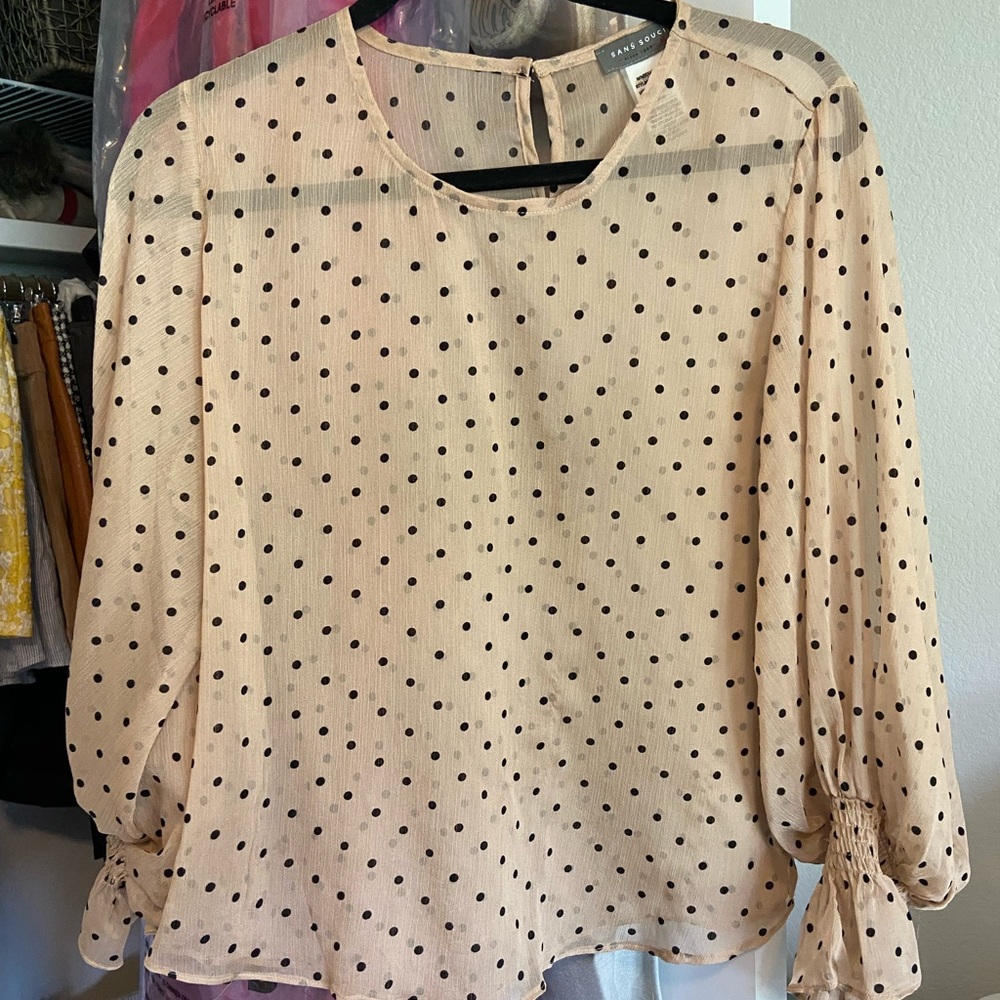 Sans Souci Sheer Polka Dot Top